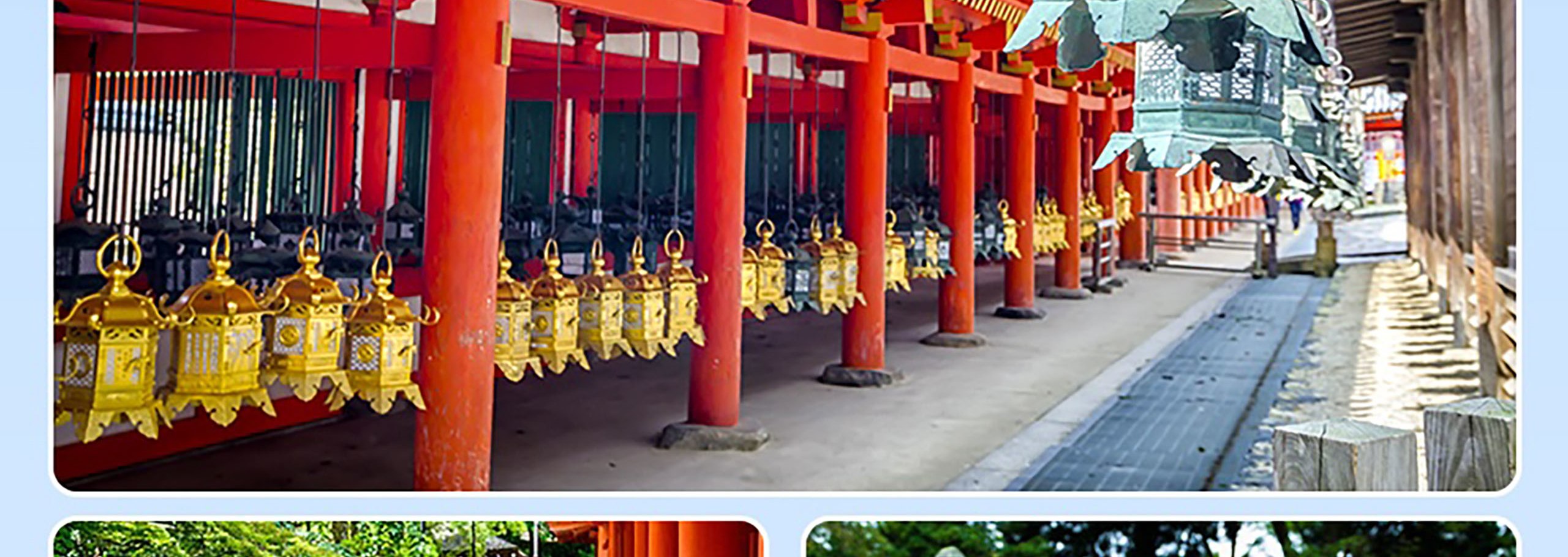 探索春日大社，它以沿寧靜森林小徑排列的石燈籠和銅燈籠而聞名。