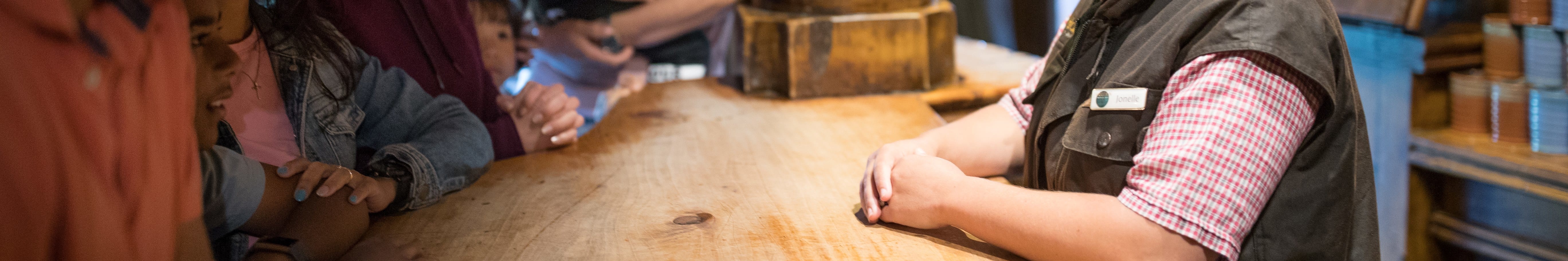 在知識淵博的當地導遊的帶領下，瞭解關於哈比村創作的迷人幕後故事