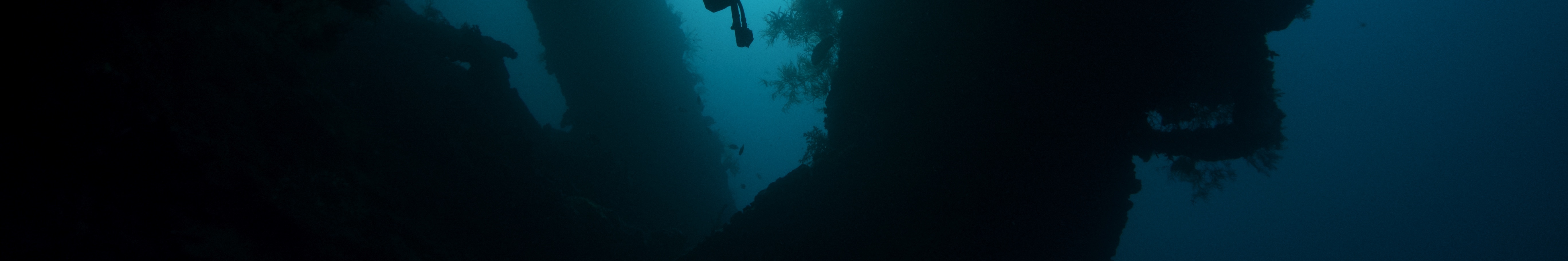 在巴厘島圖蘭本的 USAT Liberty Wreck 進行 2 次潛水，體驗雙倍的刺激，沉浸在歷史悠久的海底世界中。