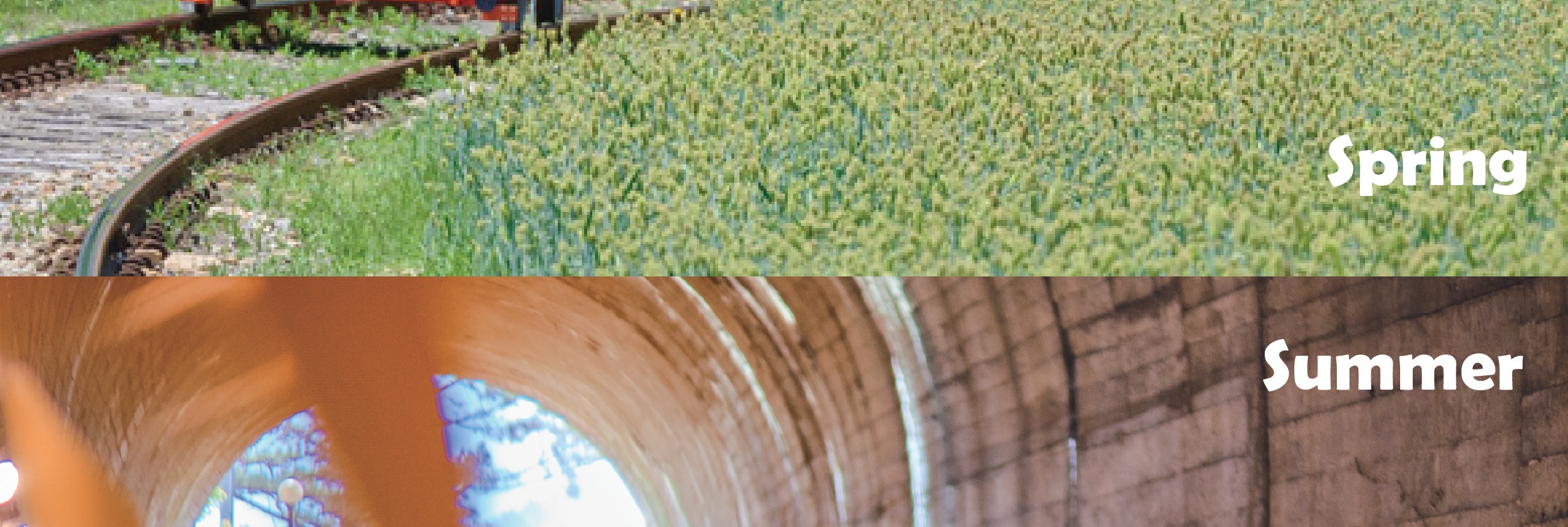 南怡島 (Nami Island) & 伊甸園冰雪世界 (Eobi Ice Valley) & 全景場 (Panorama Field) &  晨靜樹木園 (Morning Calm) 旅遊