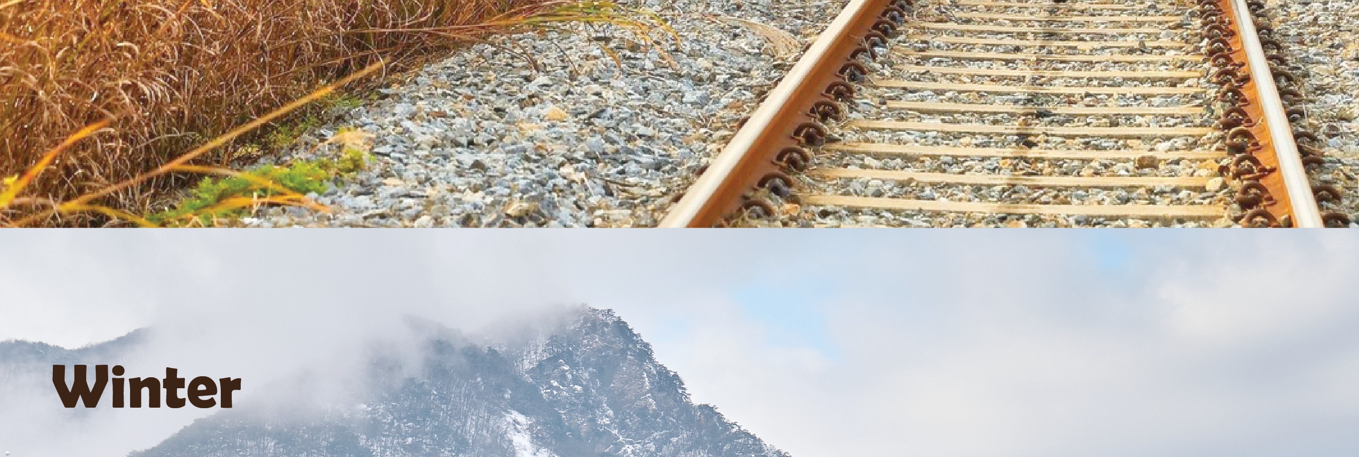 南怡島 (Nami Island) & 伊甸園冰雪世界 (Eobi Ice Valley) & 全景場 (Panorama Field) &  晨靜樹木園 (Morning Calm) 旅遊