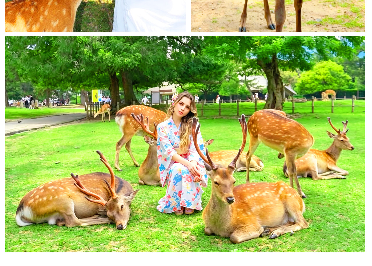 Nara Deer & Fushimi Inari-taisha Shrine & Arashiyama Day Trip (Departing from Osaka) - Thumbnail 5