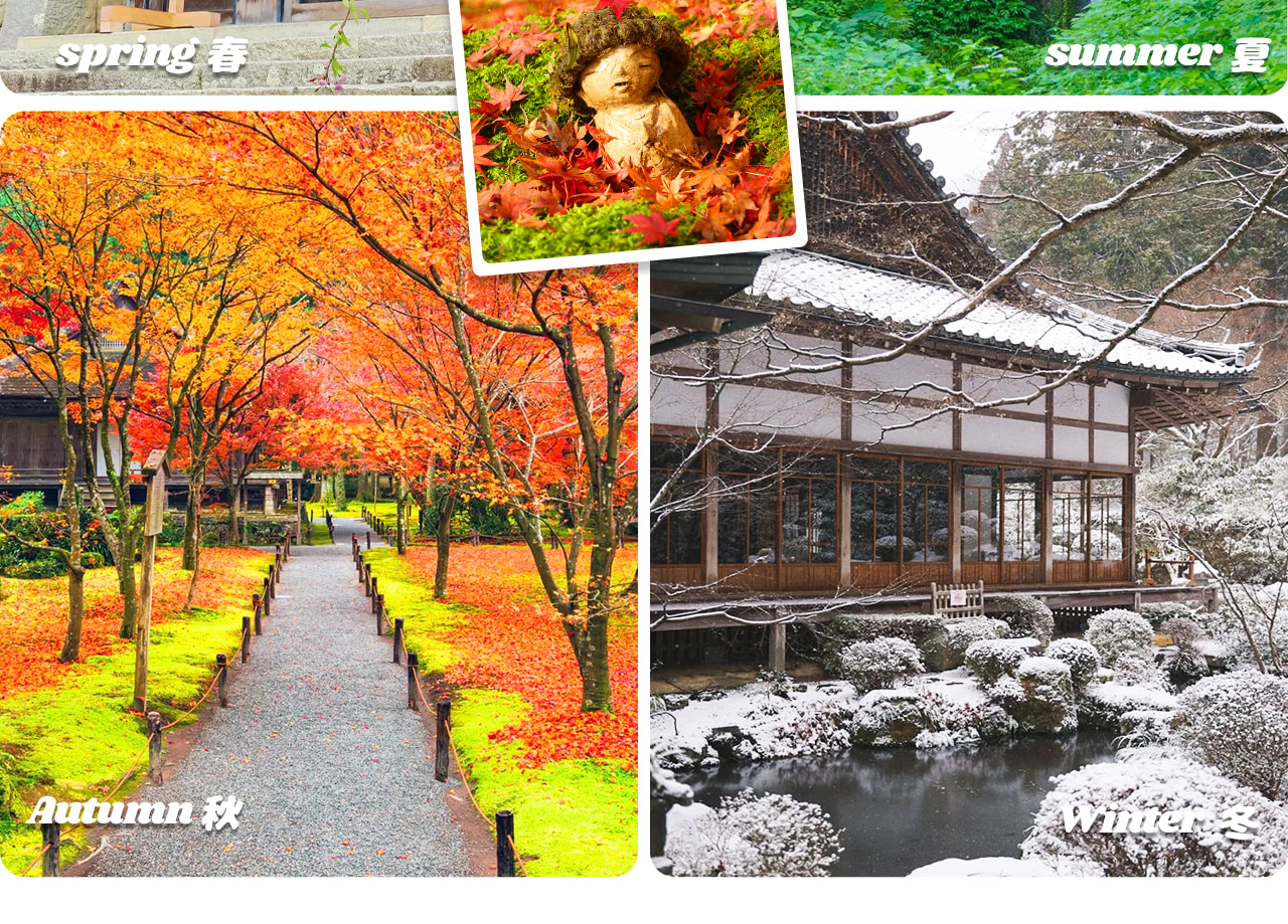 季節限定（除琵琶湖觀景臺外日期前往）嵐山三千院隱於大原山谷間，庭院苔蘚如毯，古殿堂與自然交織出靜謐禪意之美。