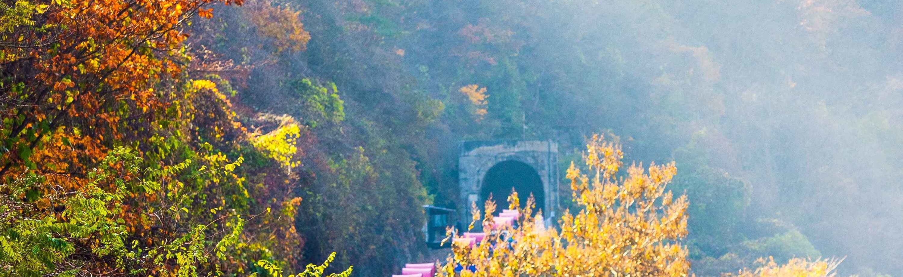 軌道自行車(近南怡島) 軌道自行車(近南怡島)