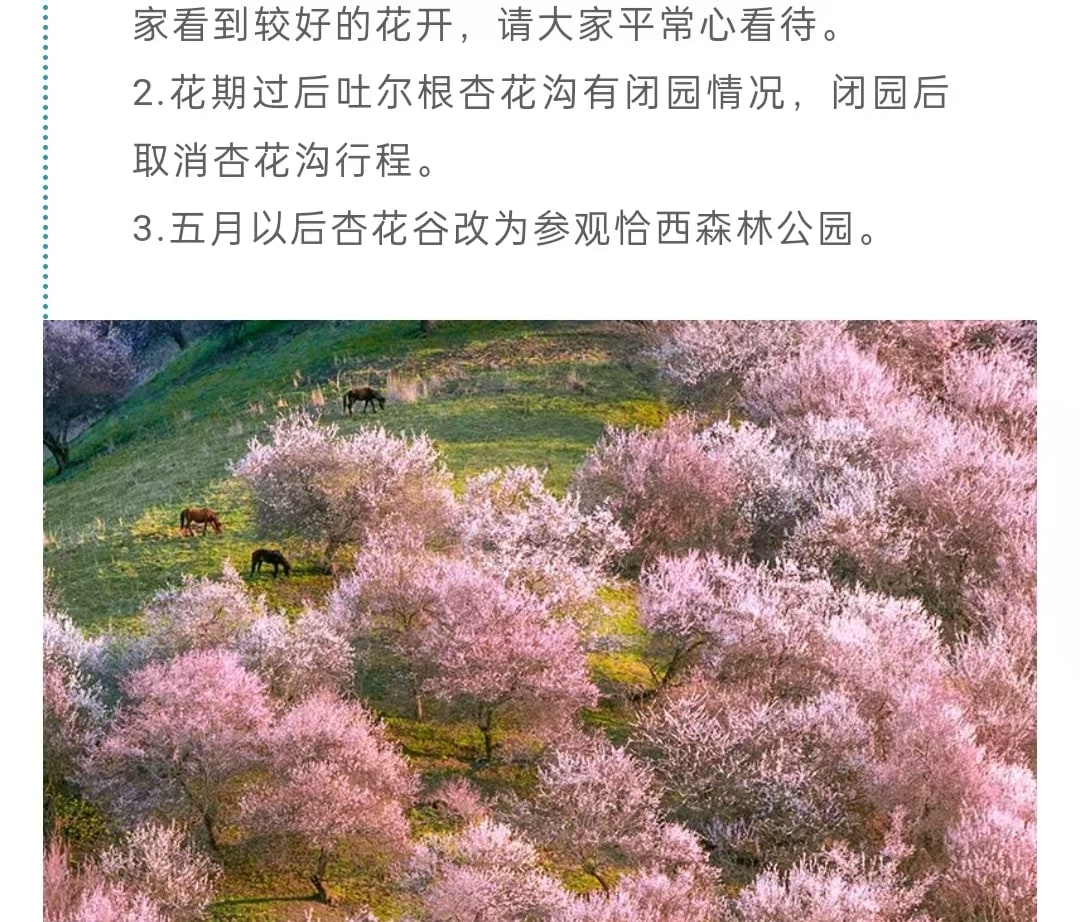 新疆伊犁春色7日（贈賽里木湖輕旅拍+無人機航拍+那拉提杏花谷+大西溝杏花+草原下午茶+民俗體驗+天山天池+安集海大峽谷）