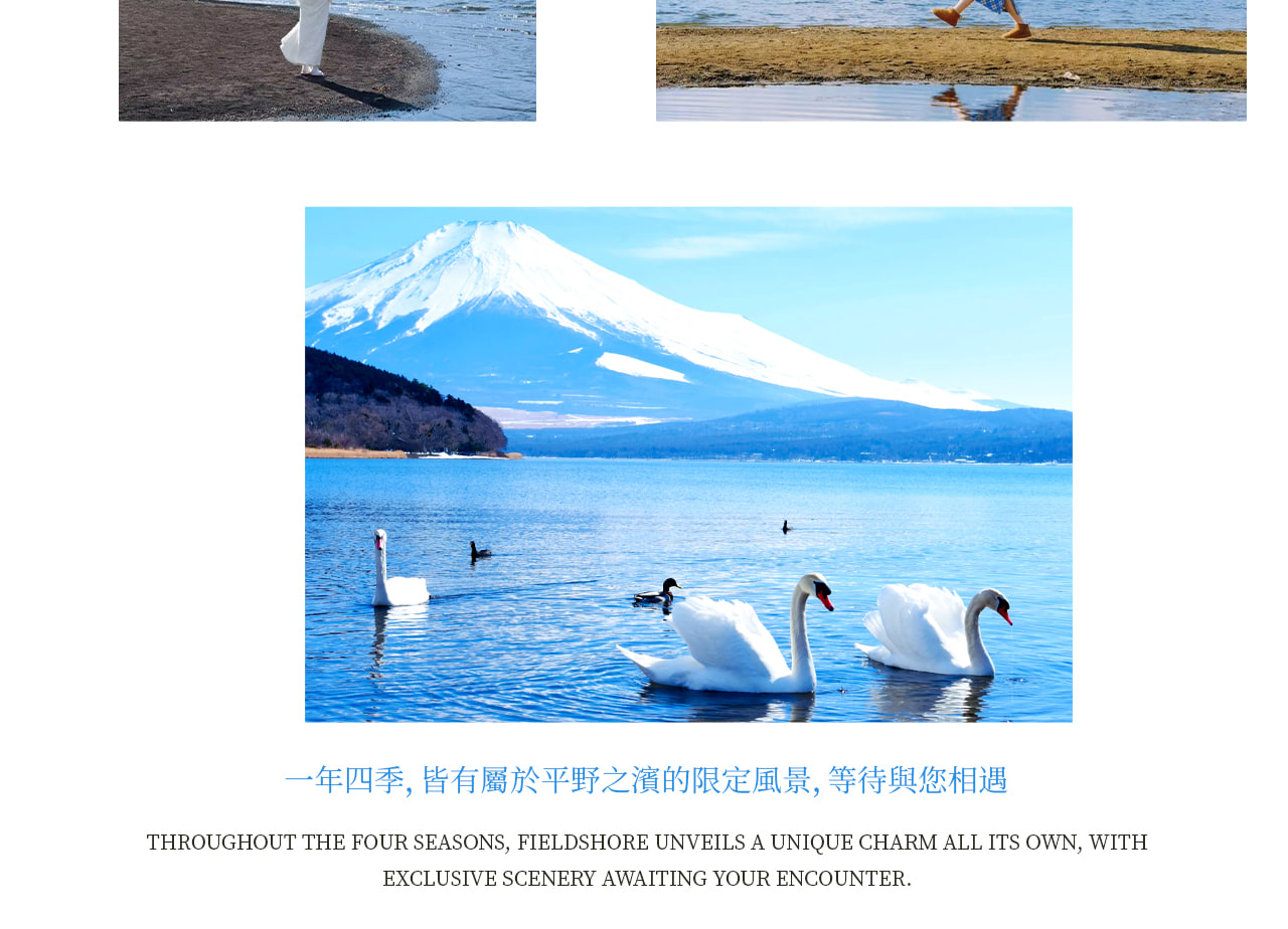 Mount Fuji from Land and Water | Yamanakako KABA Amphibious Bus / Swan Boat Cruise Optional + Hirano Beach + Oshino Hakkai + Lake Kawaguchi Oishi Park | Family Preferred & Departure from Tokyo