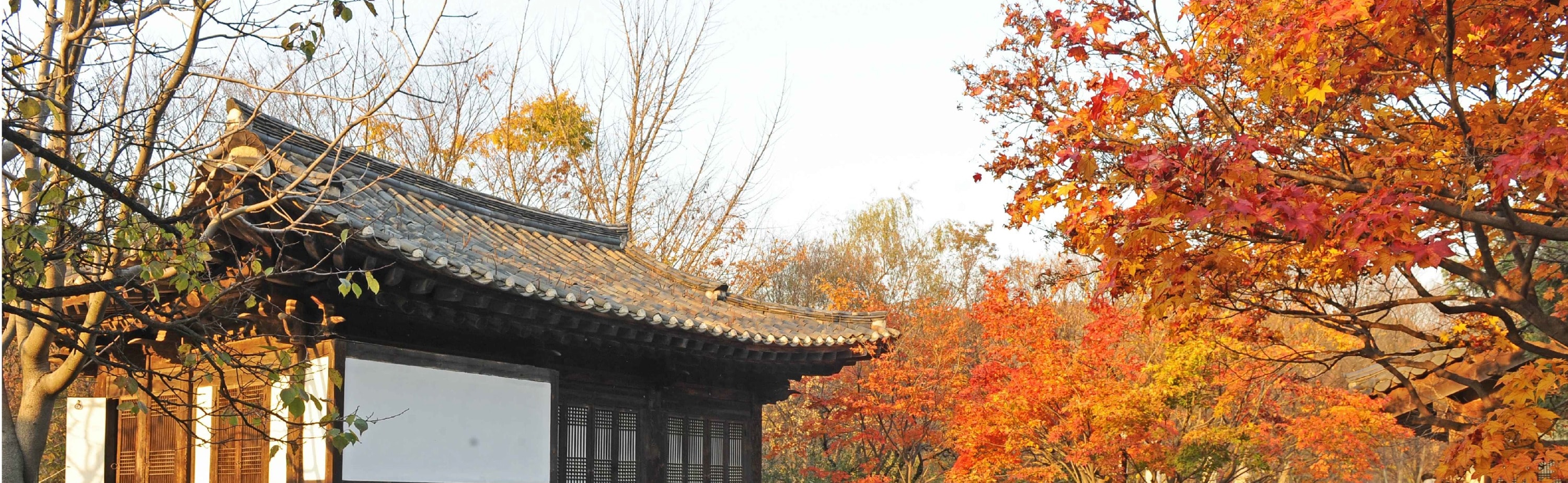 和談林植物園 & 南漢山城 & 民俗村一日遊