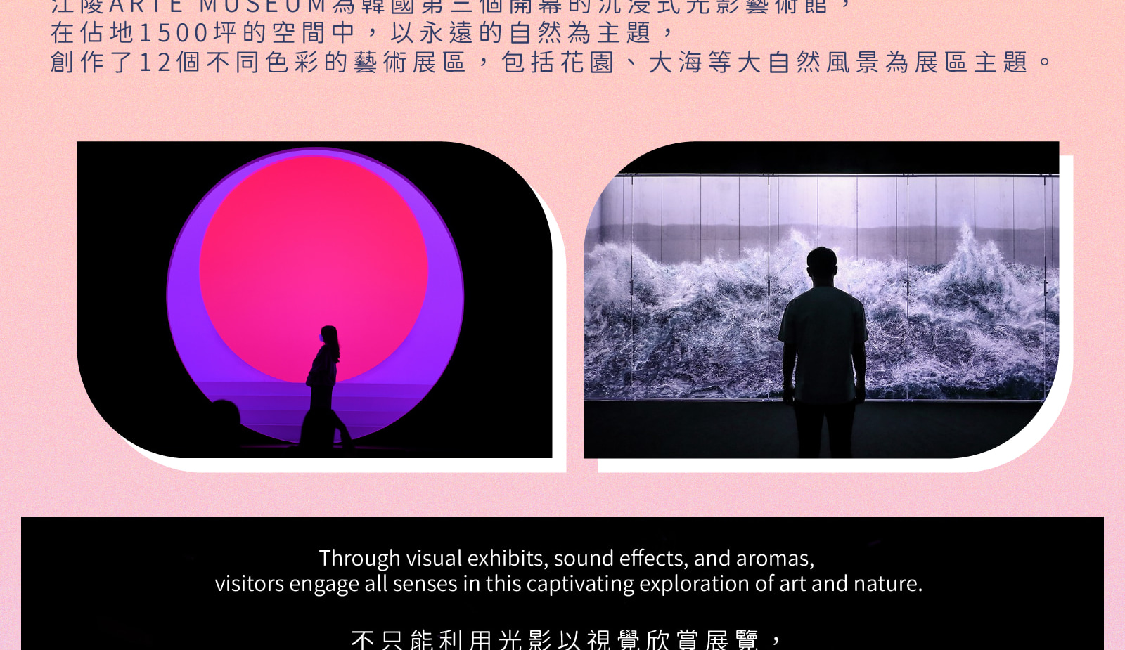 江陵熱點！BTS巴士站/ 鬼怪/ 哈斯拉藝術世界/ 咖啡街 一日遊