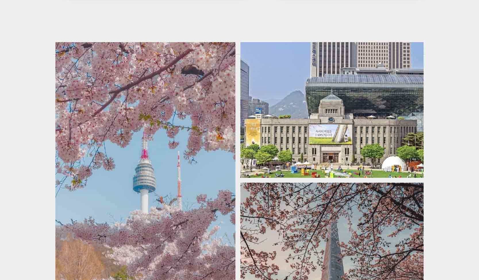 首爾私人訂製汽車之旅