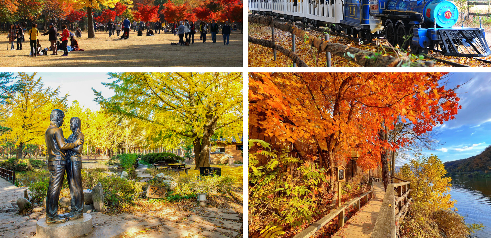 在南怡島 (Nami Island) 墜入秋日戀曲🍁漫步在如童話般的金黃落葉中，在色彩繽紛的樹隧道下，捕捉如夢似幻的美麗倩影。