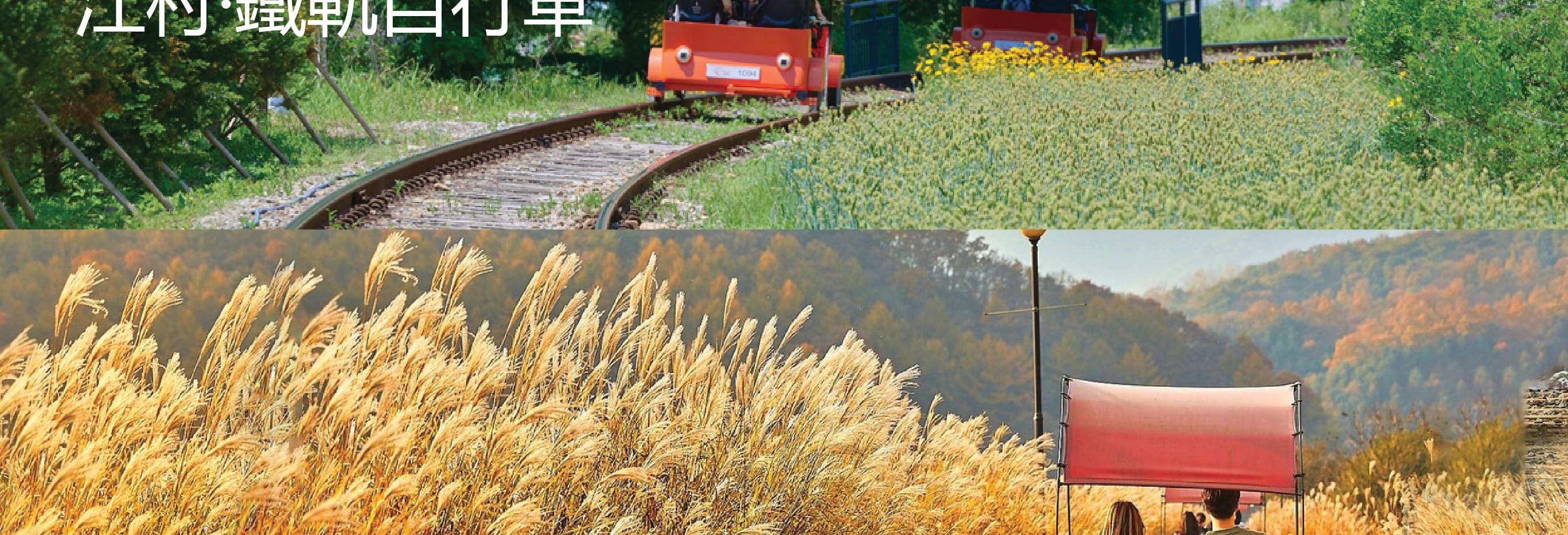 Eobi冰谷 & 南怡島 & 晨靜樹木園 & 鐵路自行車 & 小法國一日遊