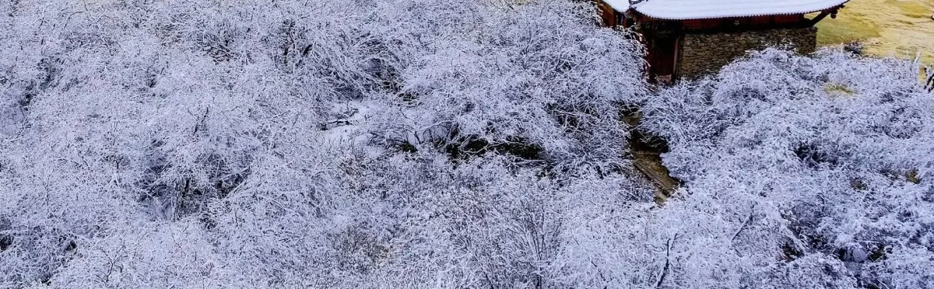 四川九寨黃龍動車往返2日高奢之旅（暢遊絕美九寨溝+探秘黃龍仙境+動車專列+可選4鑽/5鑽酒店+贈送九寨溝旅拍+國家5A級景區+成都往返）