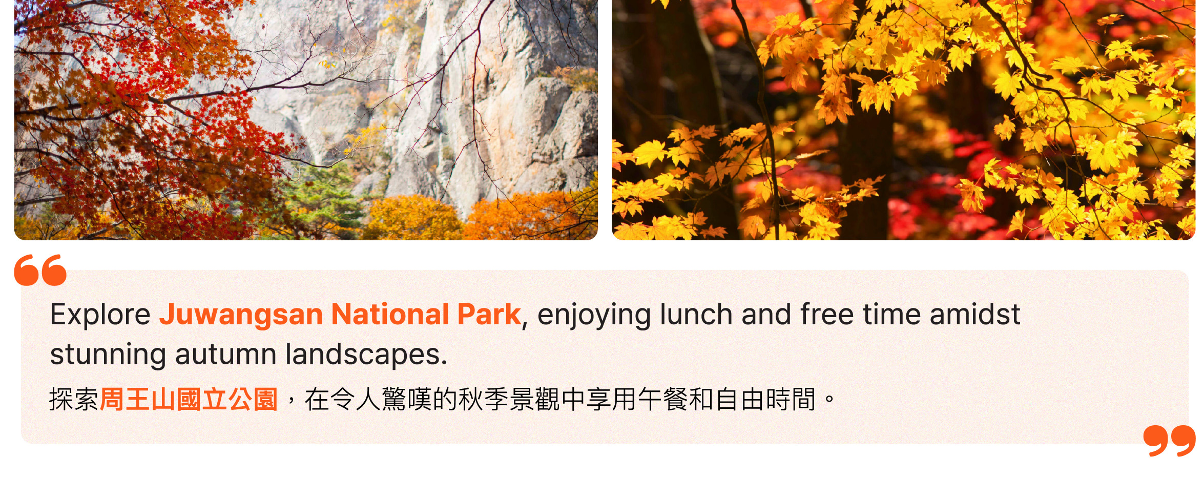 [秋季]周王山賞楓一日遊(釜山出发)	