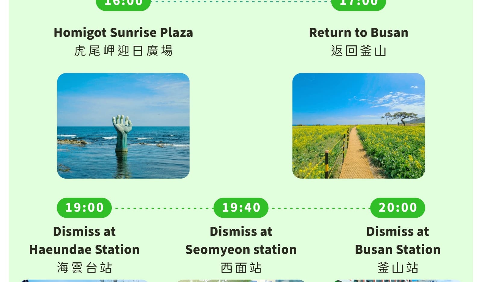 Pohang Space Walk x Cherry Blossom, Guryongpo, Homigot Canola Flower