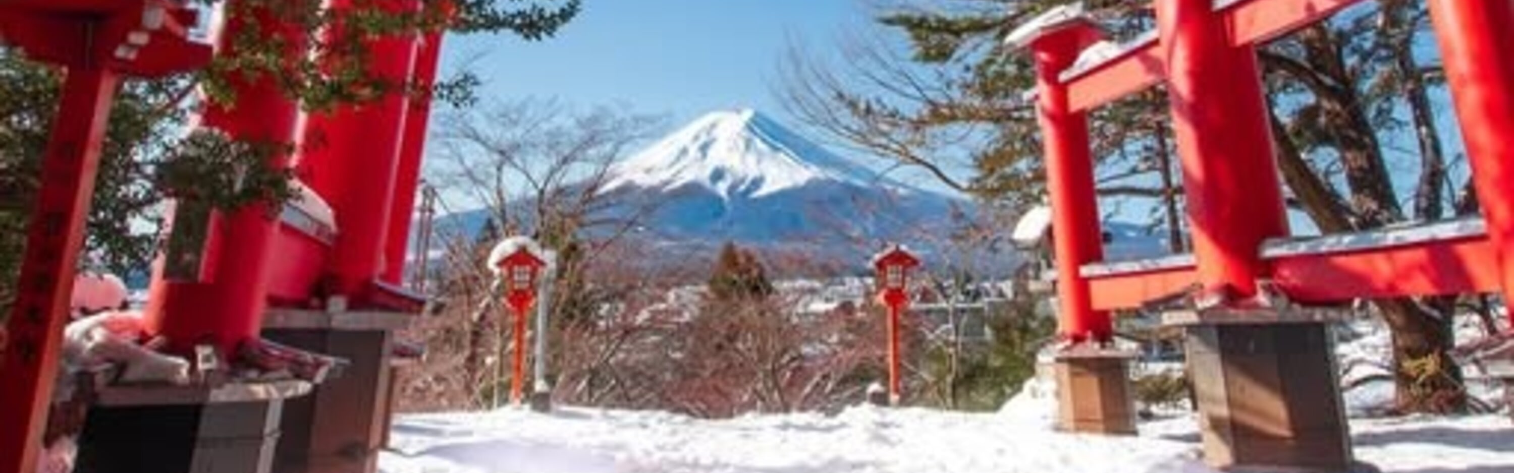 新倉富士淺間神社 (忠靈塔)