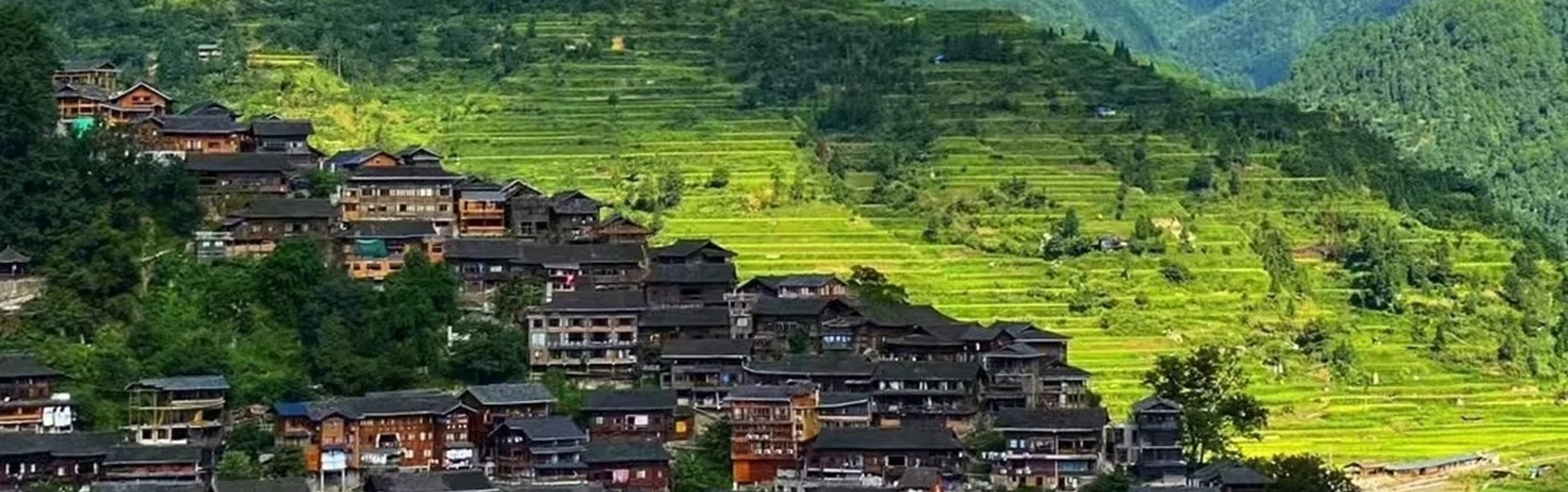 西江千戶苗寨的田園風光,村裡的人們揹著小揹簍,到田間採摘新鮮的蔬菜,苗家阿妹坐在美人靠上梳妝打扮,看這裡人們最淳樸的生活狀態 西江千戶苗寨的田園風光,村裡的人們揹著小揹簍,到田間採摘新鮮的蔬菜,苗家阿妹坐在美人靠上梳妝打扮,看這裡人們最淳樸的生活狀態