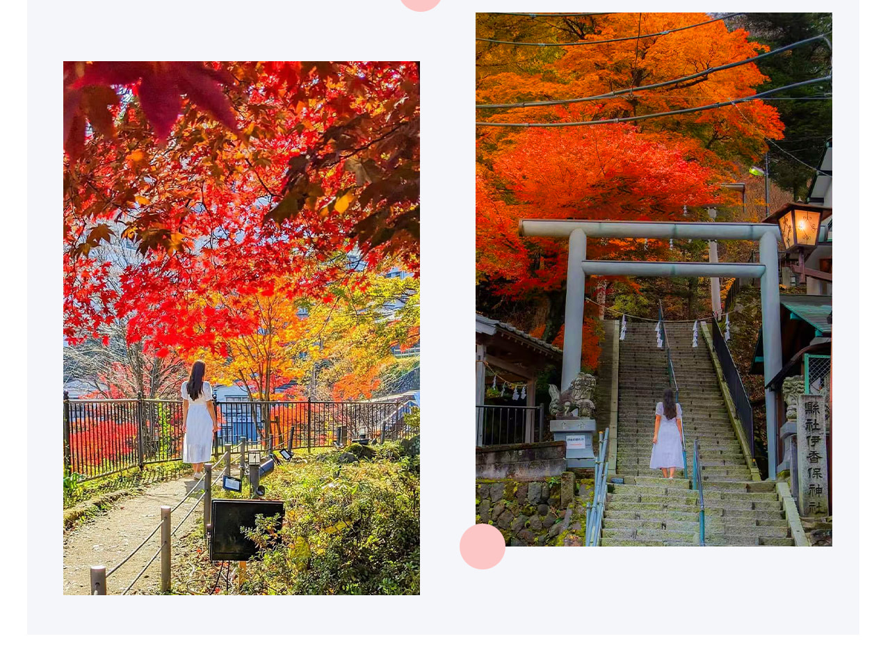 伊香保溫泉石段街是群馬縣著名的溫泉小鎮,街道由365階石階組成,沿街分佈著溫泉旅館、傳統小吃店和手工藝品店。秋季時,紅葉映襯石階與溫泉街,呈現出溫暖而浪漫的色彩,非常適合拍照打卡。 伊香保溫泉石段街是群馬縣著名的溫泉小鎮,街道由365階石階組成,沿街分佈著溫泉旅館、傳統小吃店和手工藝品店。秋季時,紅葉映襯石階與溫泉街,呈現出溫暖而浪漫的色彩,非常適合拍照打卡。