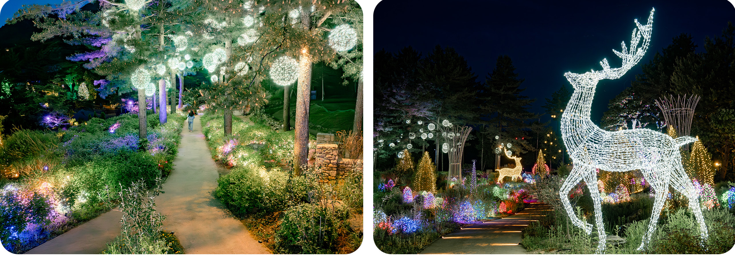 漫步在閃耀的奇幻仙境,The stay healing park 的光雕藝術將夜晚點綴得生動活潑。 漫步在閃耀的奇幻仙境,The stay healing park 的光雕藝術將夜晚點綴得生動活潑。