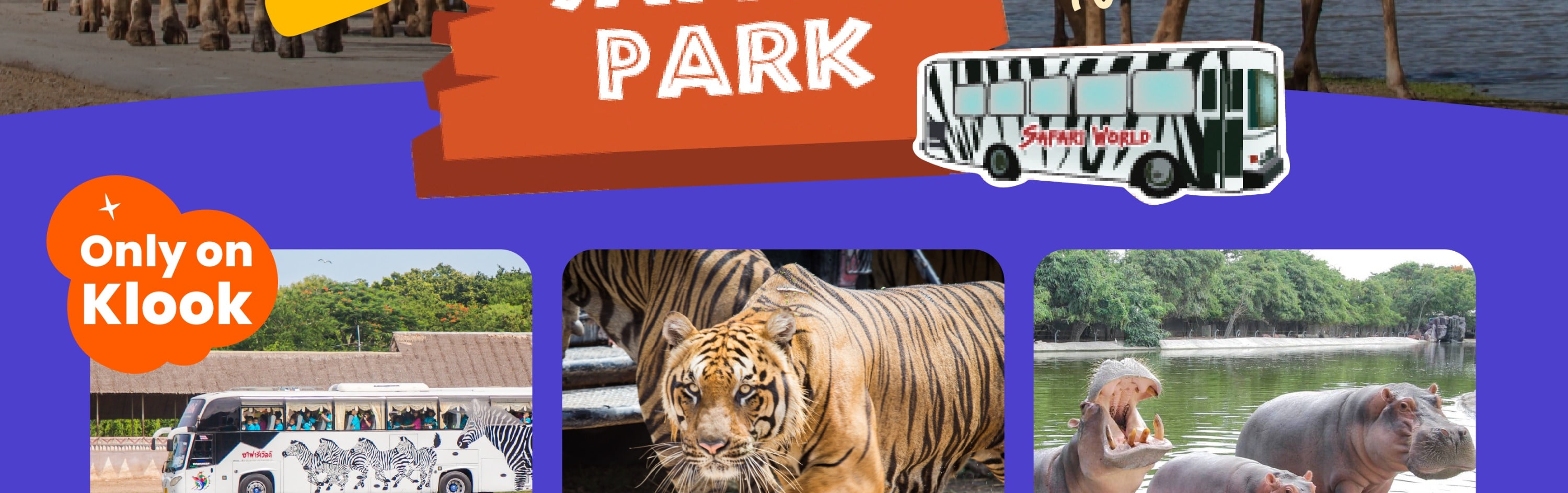 曼谷賽瑞福野生動物園門票，含阿爾法商務車私人接送服務