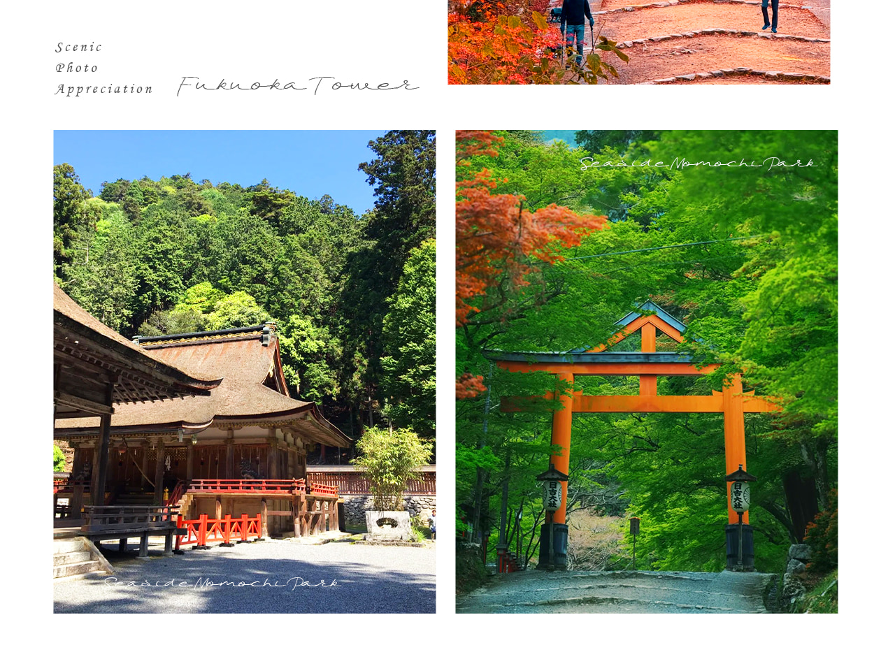 紮根比叡山的千年古社,日吉大社以莊重社宇、參天古木與深厚信仰文化,盡顯京都近郊的靜謐與厚重。 紮根比叡山的千年古社,日吉大社以莊重社宇、參天古木與深厚信仰文化,盡顯京都近郊的靜謐與厚重。