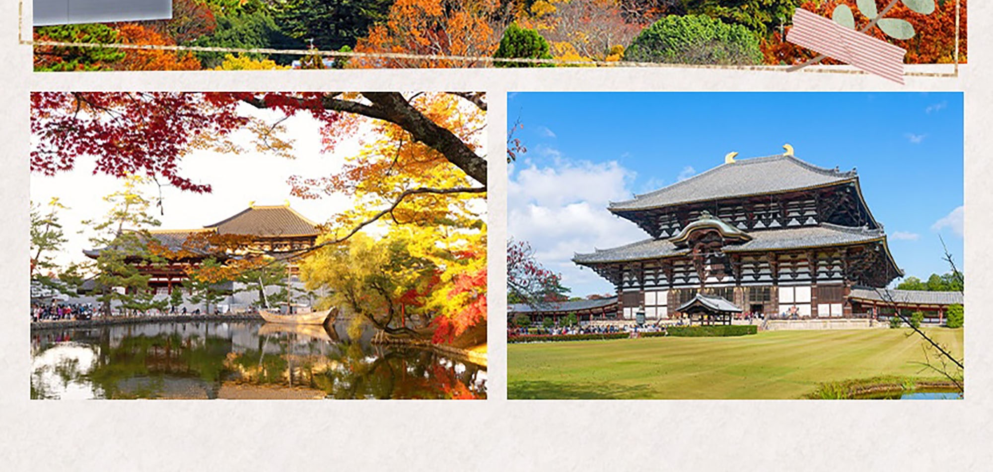 奈良東大寺是日本最大的木製建築和巨型佛像的所在地。