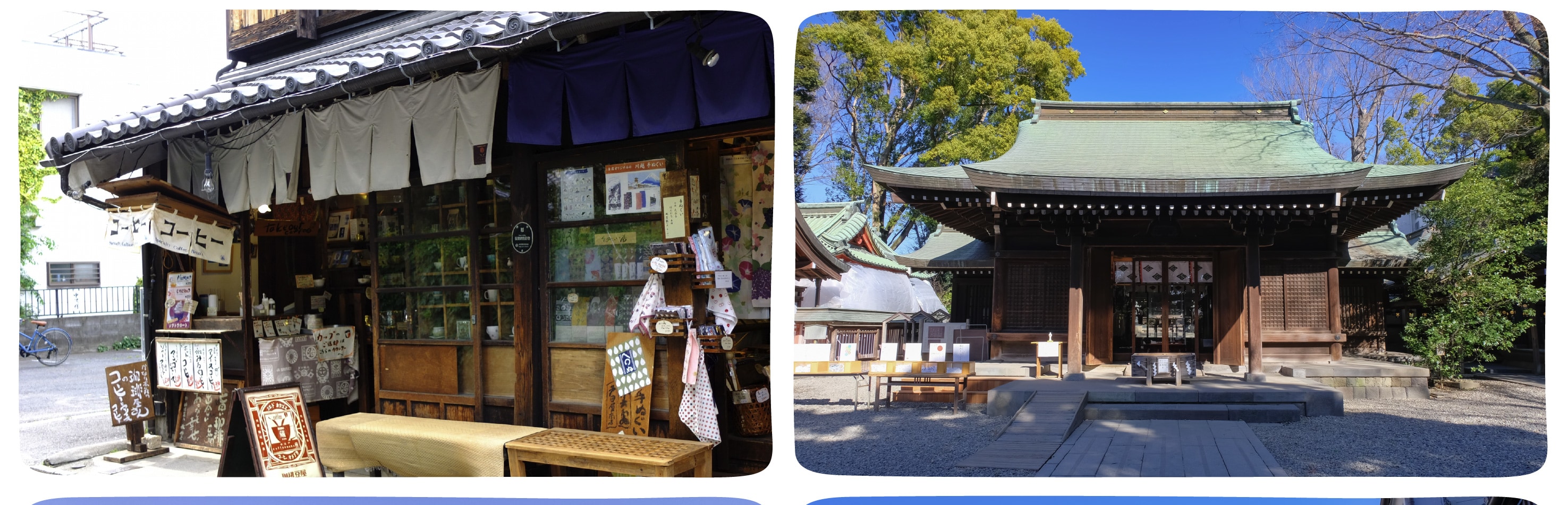 季節限定: 國營常陸海濱公園 & 足利花卉公園一日遊 (東京出發)
