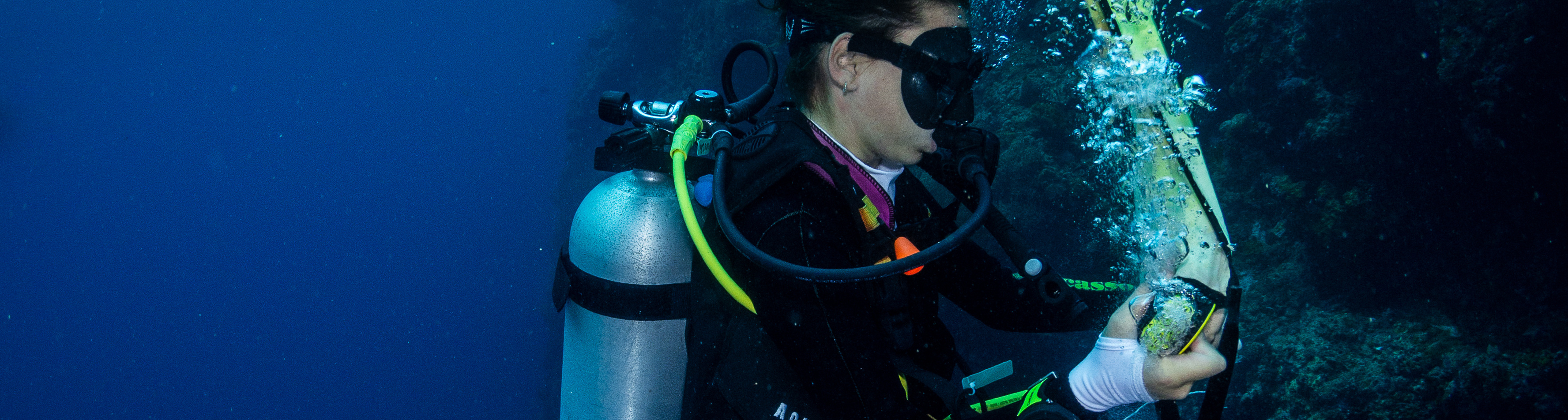 峇里島 PADI 潛水中心進階開放水域潛水員課程