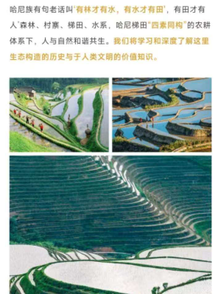 雲南流光滇東南高奢5日（全程臻選度假酒店+撫仙湖希爾頓酒店+建水古城City-walk+非遺手作+米軌小火車+元陽壩達梯田）