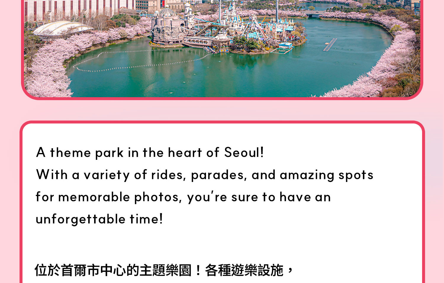 樂天世界深度體驗之旅