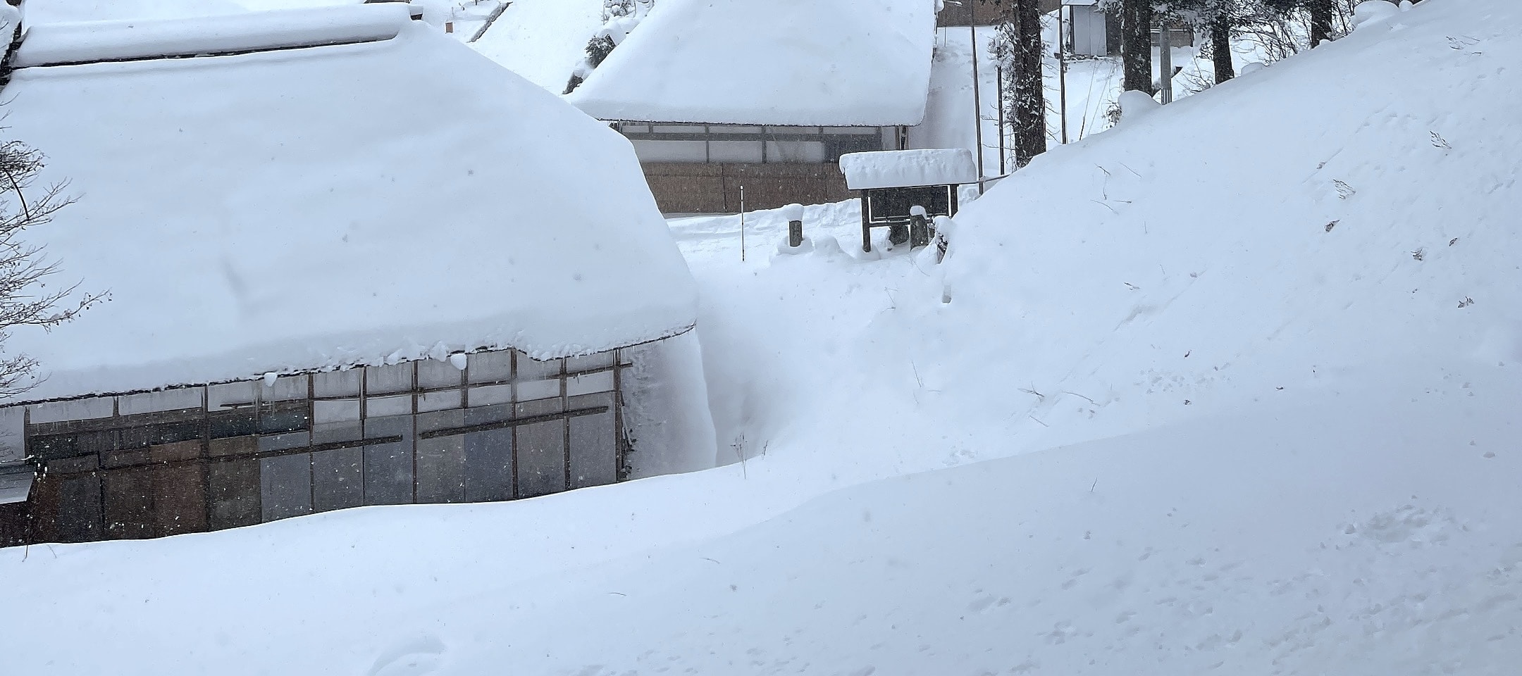 銀山溫泉 & 山形藏王樹冰之旅（東京 / 仙台 出發）
