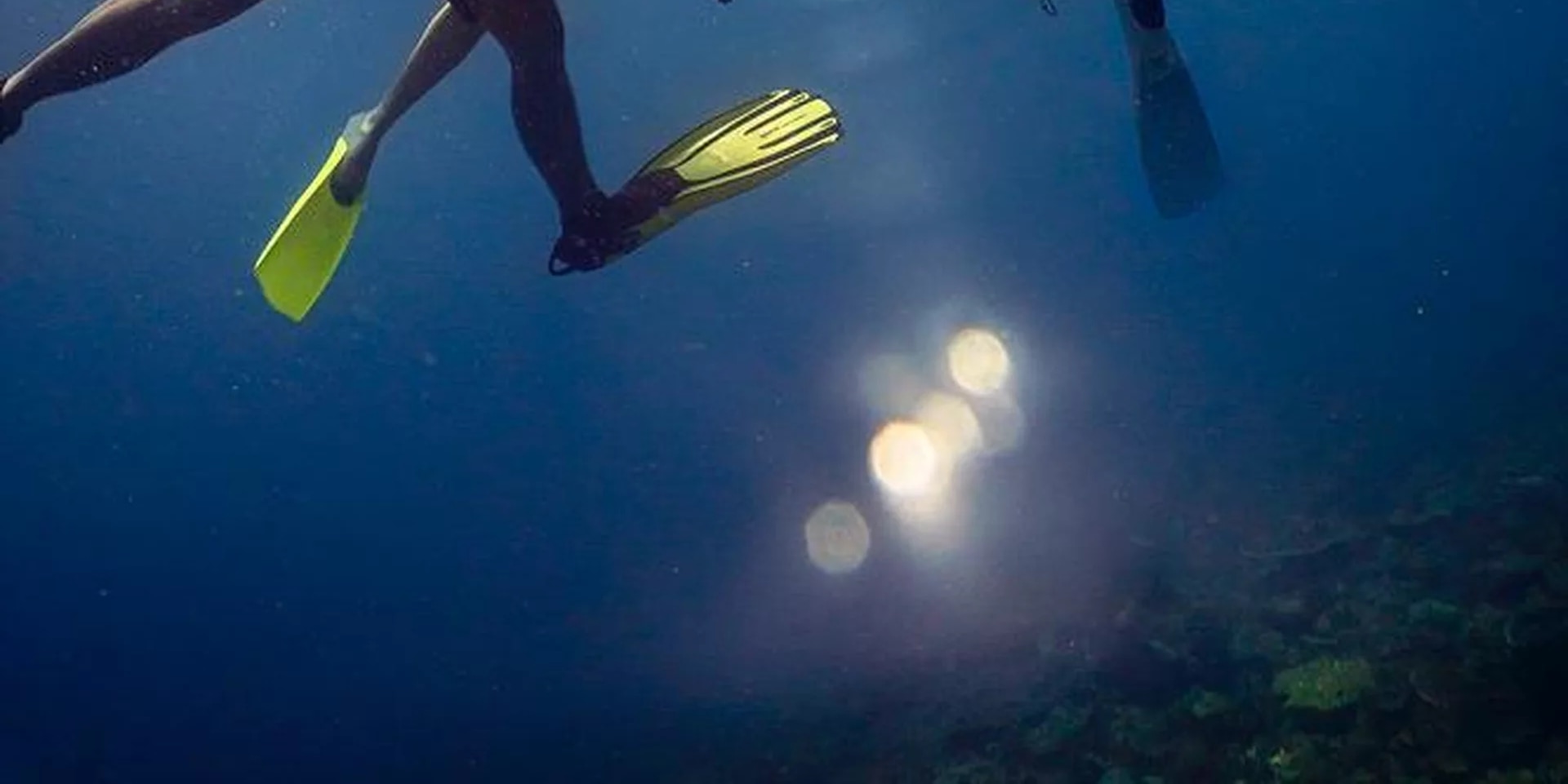 亞庇高級開放水域潛水體驗（PADI潛水中心）