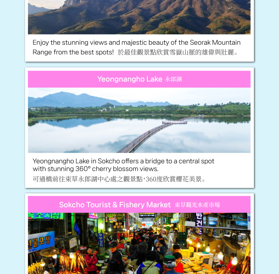江原道春季賞櫻之旅（首爾出發）