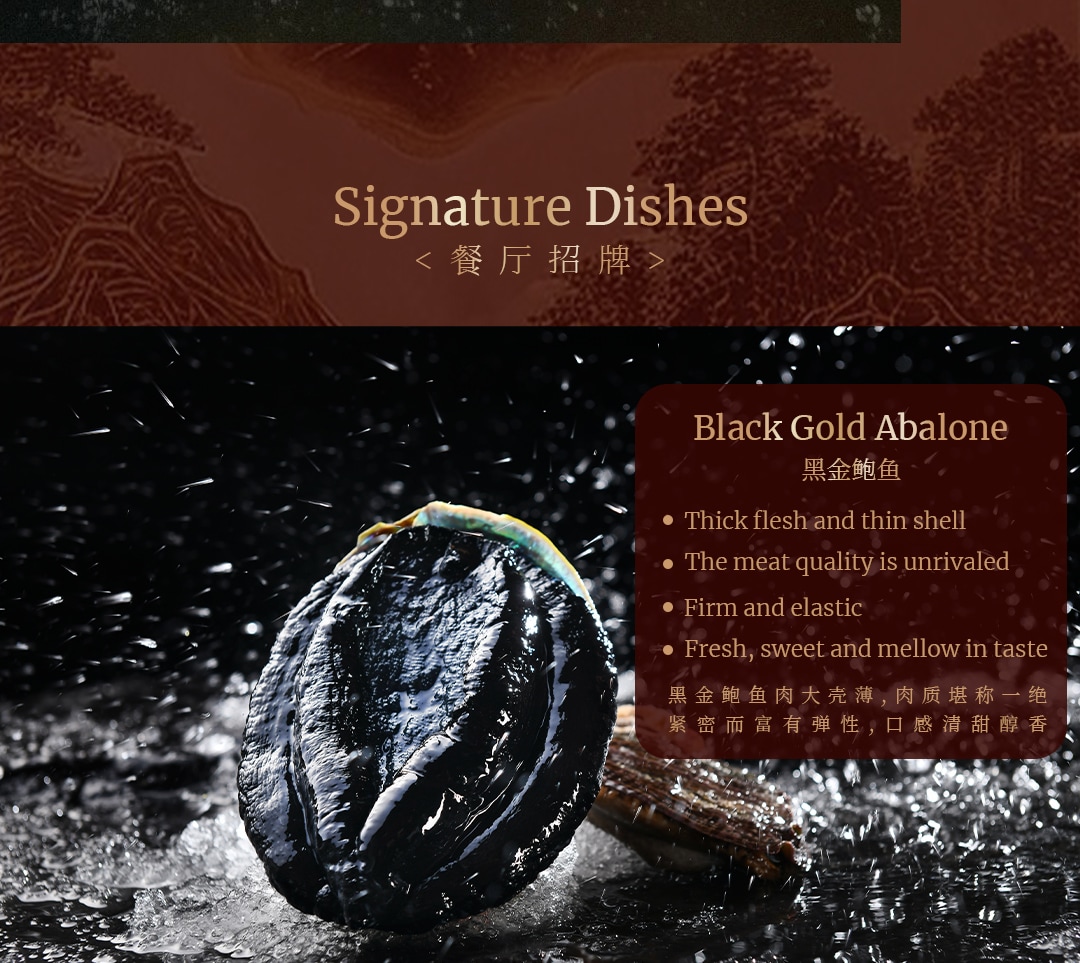 Noble Taste·Turtle Hotpot | Youfang Store