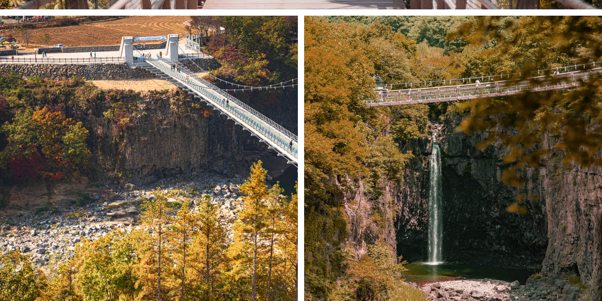 🍂秋意漸濃,金黃色的樹葉與深色玄武岩峽谷交織成一幅美麗的畫作。現在正是欣賞地質奇景與感受大自然溫柔魅力的絕佳時節。 🍂秋意漸濃,金黃色的樹葉與深色玄武岩峽谷交織成一幅美麗的畫作。現在正是欣賞地質奇景與感受大自然溫柔魅力的絕佳時節。