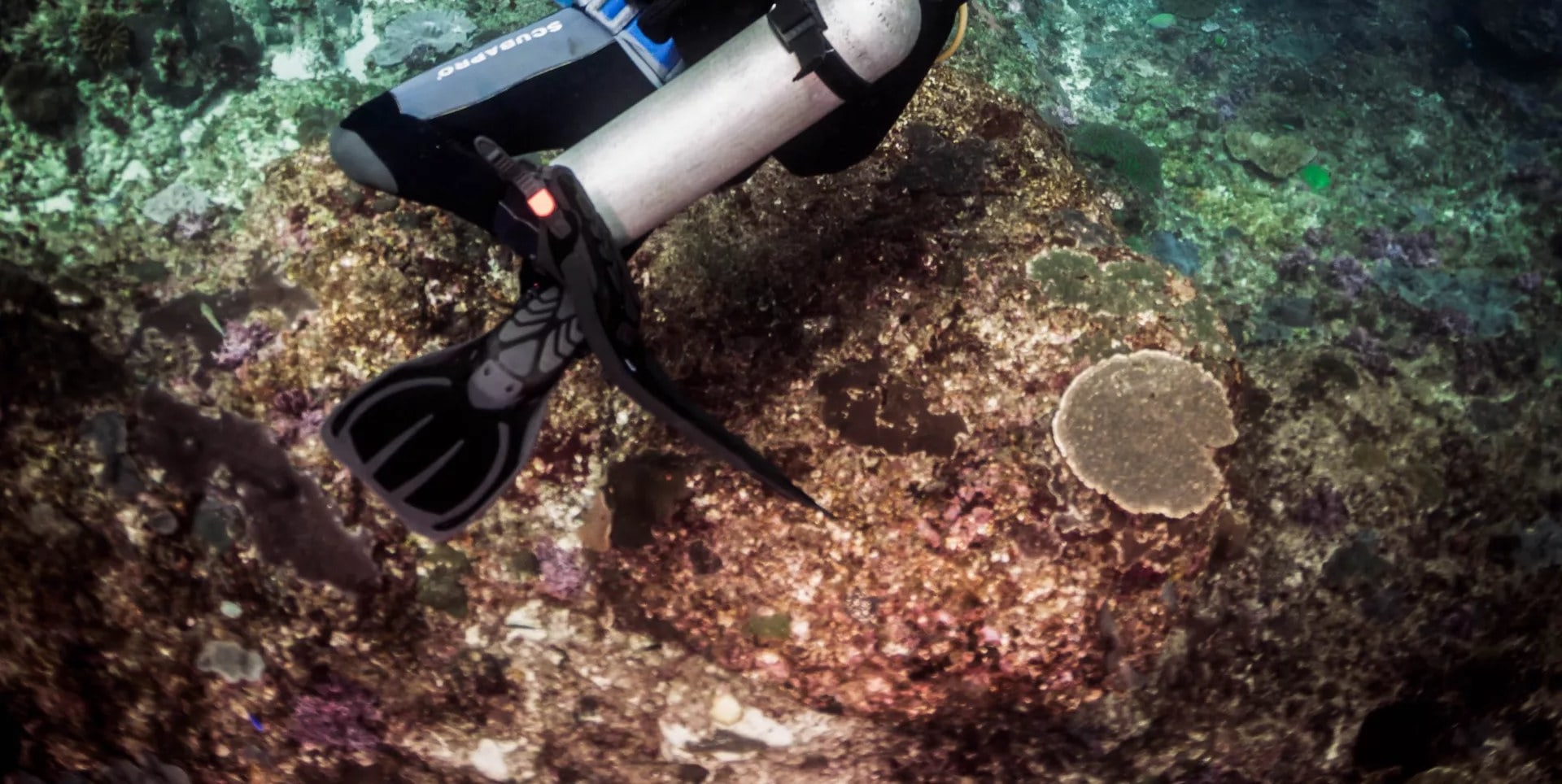 藍夢島的液體遊樂場：PADI 高級精通課程 5* 中心