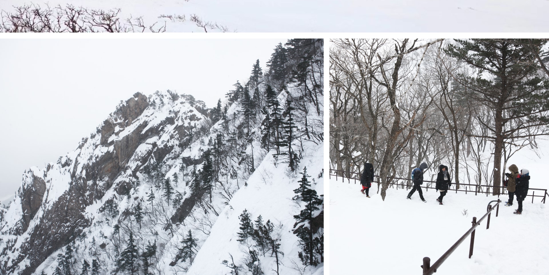 ❄️在雪嶽山體驗冬季的魔力，欣賞白雪皚皚的山峰。