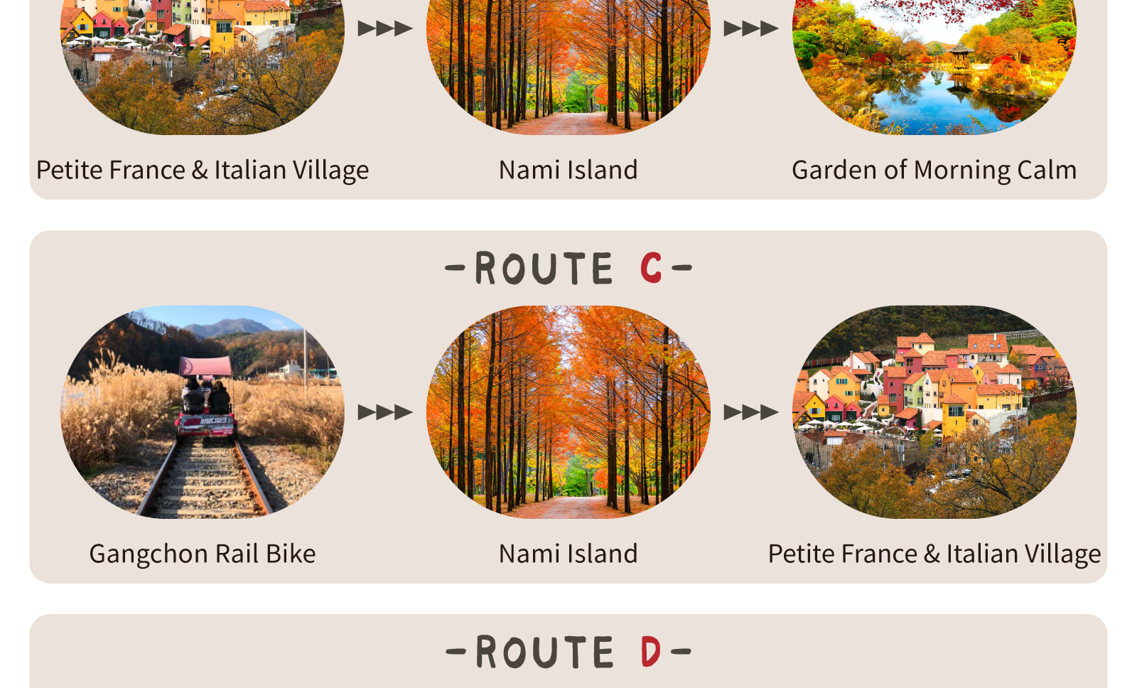 Looking for the perfect mix of nature, family fun, and Instagrammable adventures? This one-day, takes you on a magical ride through Gangwon-do and Gyeonggi-do’s top attractions, from fluffy alpacas and blooming gardens to scenic railbiking and the imagina