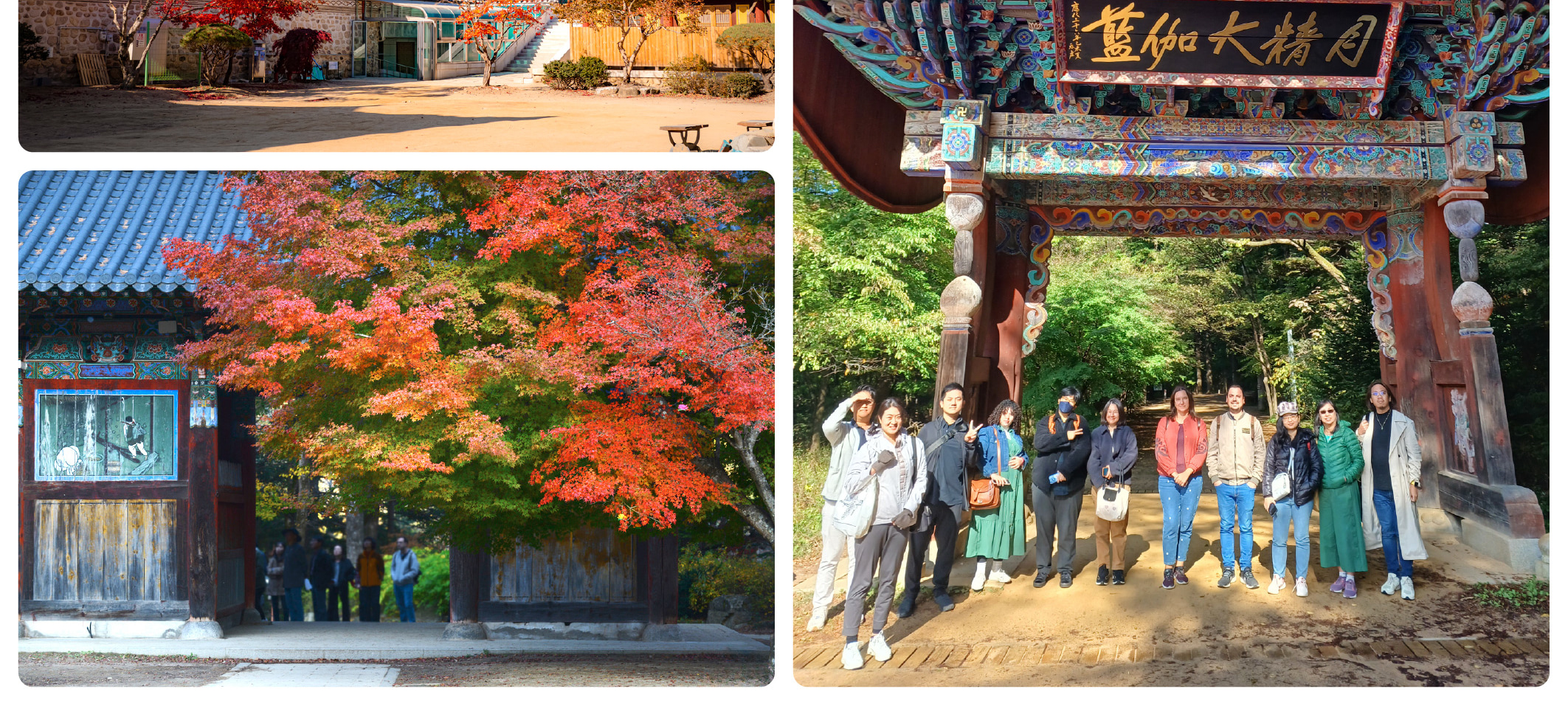月精寺 (Woljeongsa Temple) 位於韓國平昌郡五台山國家公園的森林中。秋季時的公園景色尤其迷人，擁有色彩鮮豔的樹葉、多樣化的動植物、像月精寺這樣的古老寺廟，以及風景優美的健行步道。