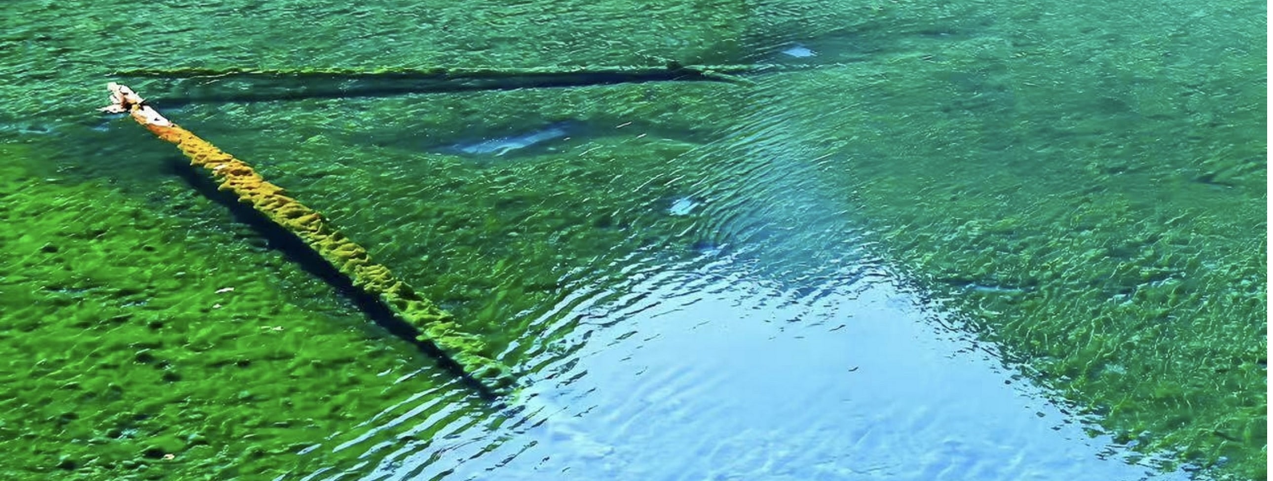 澄澈見底的湖水像一塊流動的翡翠，水下枯木清晰可見，岸邊彩林層疊，紅橙黃綠交織成畫，山水相映間，把九寨的靈秀與絢爛完美定格，一眼就醉在這人間仙境裡
