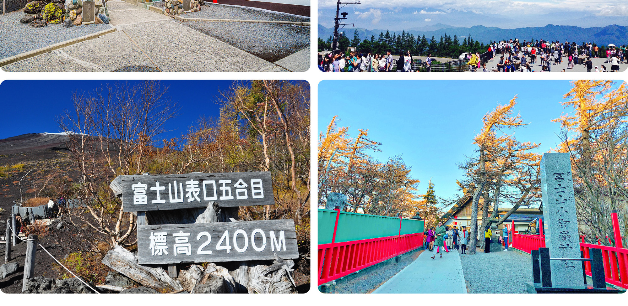富士山 & 箱根: 富士山五合目/河口湖/大石公園/忍野八海/大涌谷/大淵笹場/雕刻之森美術館/箱根纜車/海賊船 (中/英/韓語導遊)