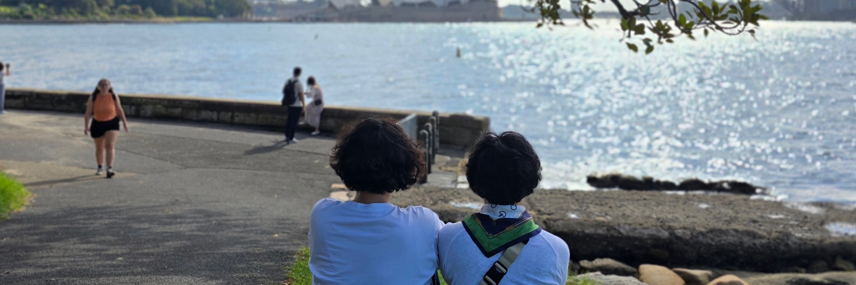 Mrs Macquarie's Chair Viewpoint