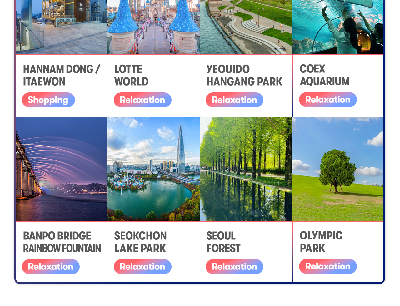 Seoul Car Rental with Driver to Seoul City/Everland/Nami Island/Alpaca World/Gangchon Rail Park