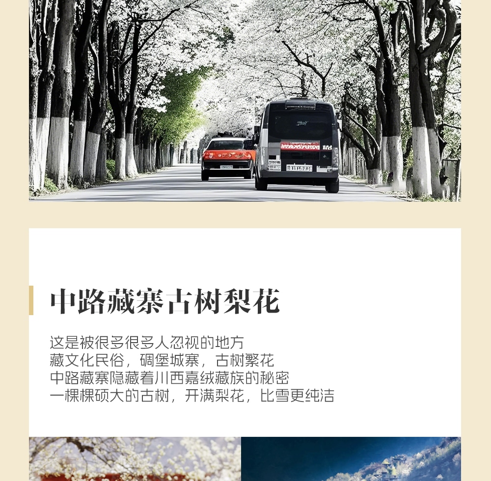 川西春日花語5日遊（金川梨花盛宴+中路藏寨+專屬攝影師+山野美食品鑑+雲端下午茶+畢棚溝+四姑娘山）