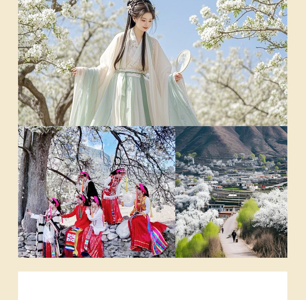 川西春日花語5日遊（金川梨花盛宴+中路藏寨+專屬攝影師+山野美食品鑑+雲端下午茶+畢棚溝+四姑娘山）