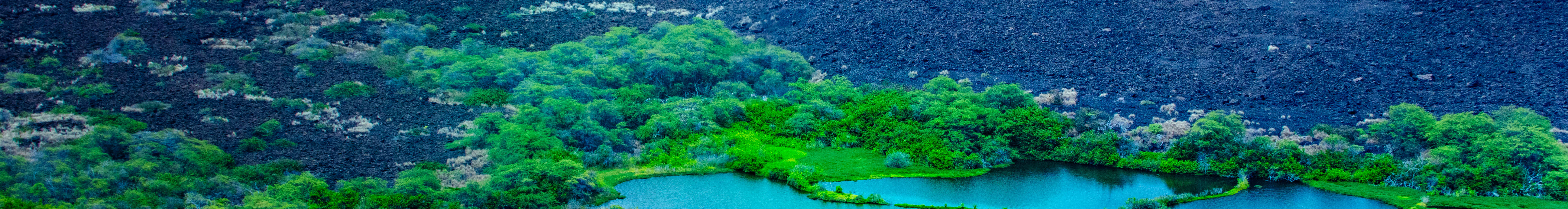 Kona Coast Hualalai Volcano - 60Min Helicopter Tour - Door Off or On