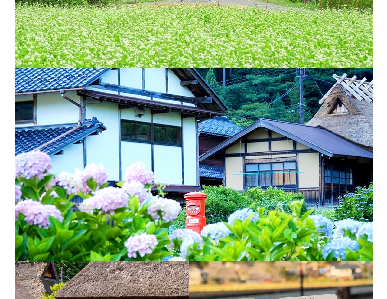 茅草屋之裡是美山的主要村落,擁有 40 間茅屋,是日本最大的茅屋群落。美山茅草屋與白川鄉合掌村、下鄉町的大內宿並列為日本三大 “茅草屋之鄉”。 茅草屋之裡是美山的主要村落,擁有 40 間茅屋,是日本最大的茅屋群落。美山茅草屋與白川鄉合掌村、下鄉町的大內宿並列為日本三大 “茅草屋之鄉”。