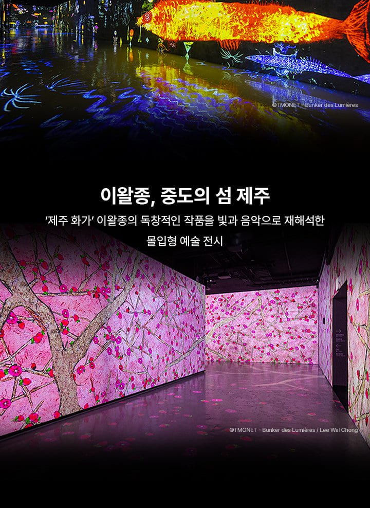 Bunker des Lumieres Ticket in Jeju