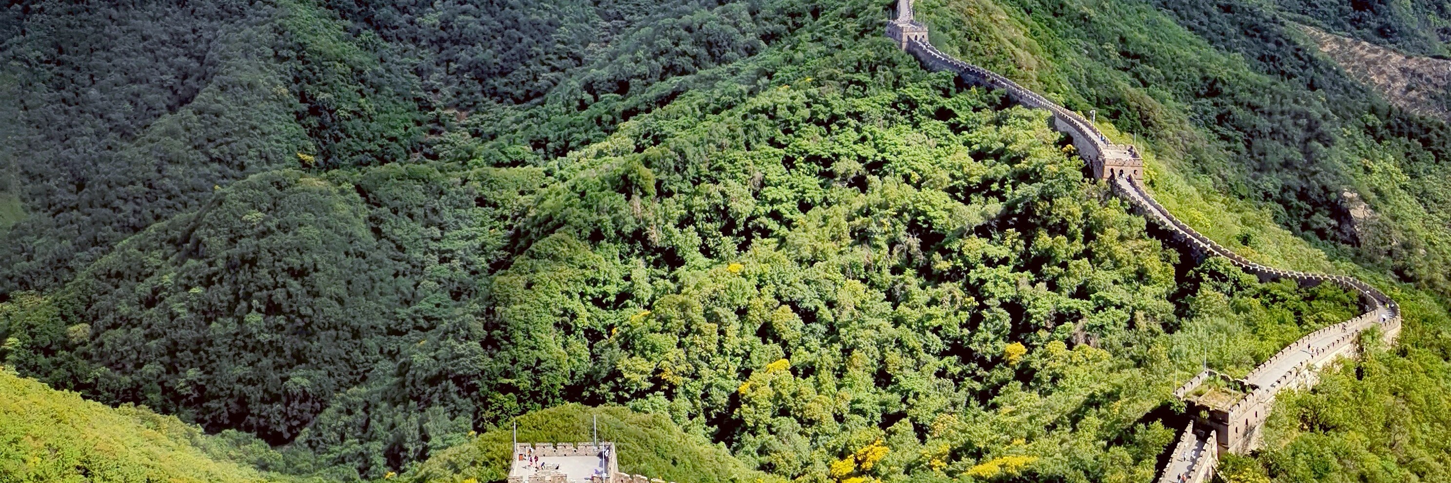 夏季的慕田峪層林疊翠，滿目蒼鬱。群山被鬱鬱蔥蔥的樹木覆蓋，植被覆蓋率極高。‌‌