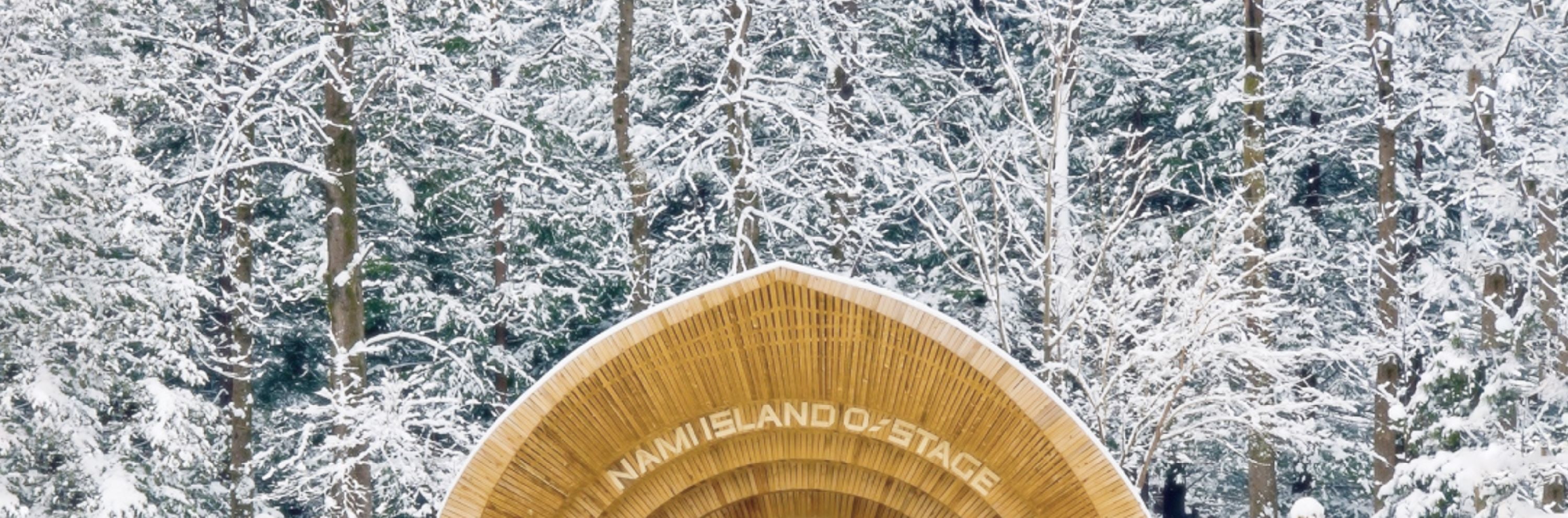 Cheongyang Ice Festival & Nami & Eobi Ice Valley & Strawberry Tour
