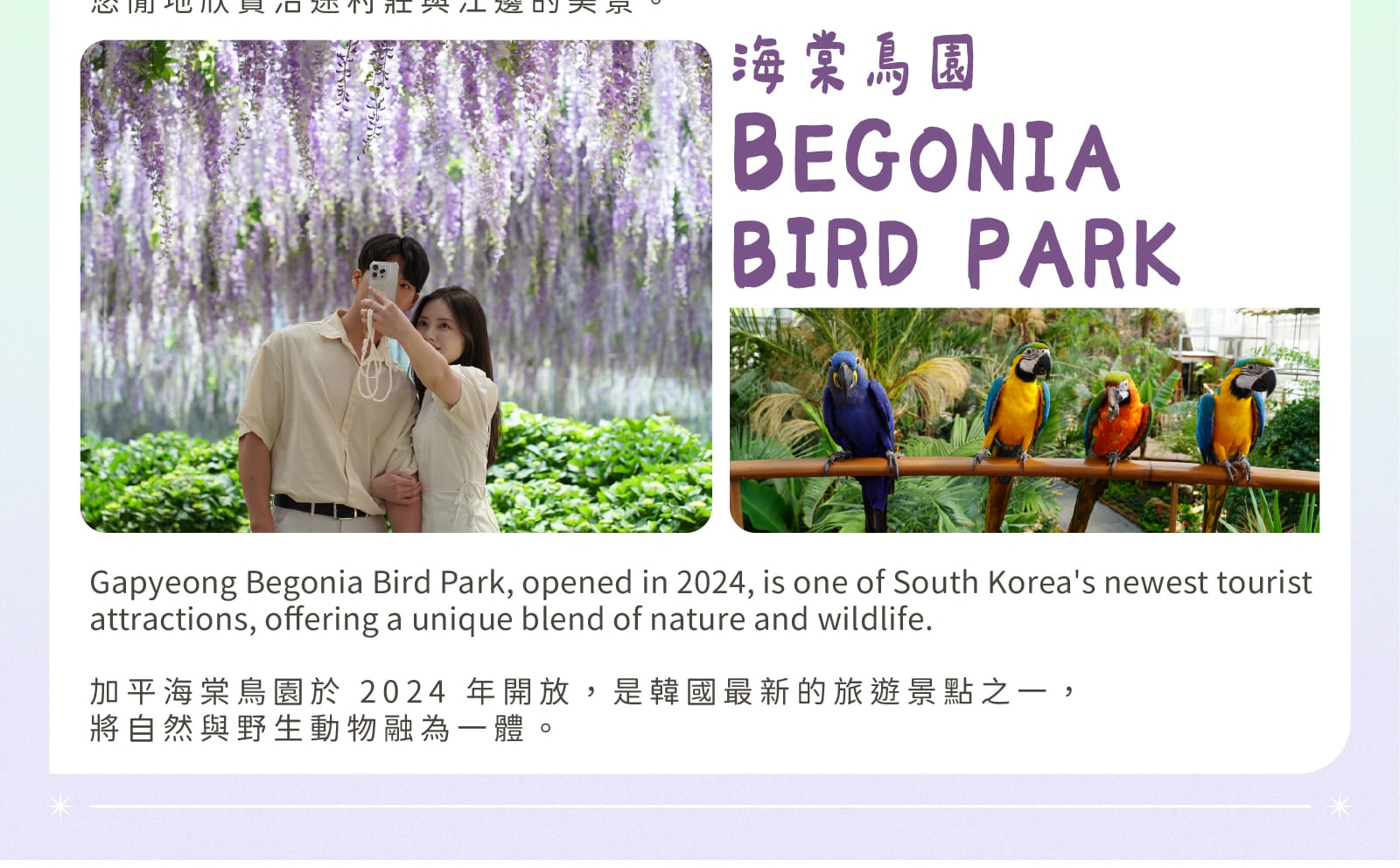 羊駝牧場 / 南怡島 / 江村鐵路自行車 / 晨靜樹木園 / 樂高樂園 /  秋海棠鳥園
